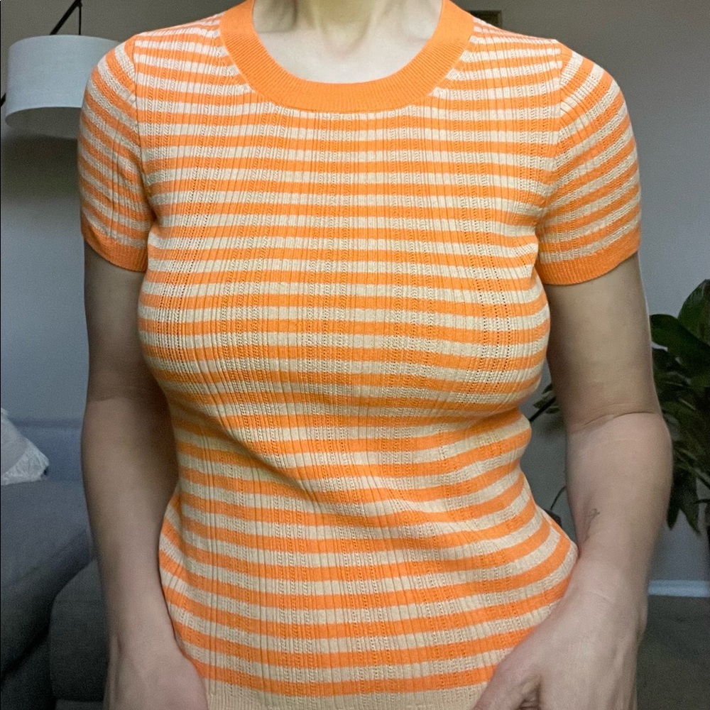 Madewell Ringer Sweater Tee